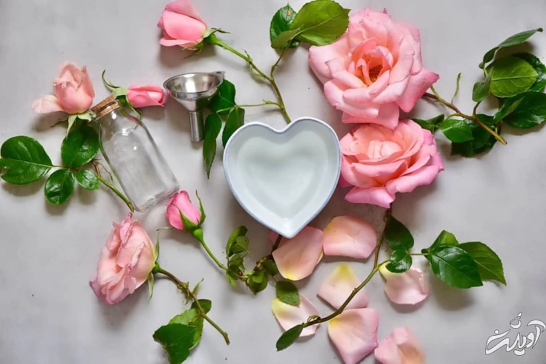 گلاب، عصارهای جادویی! گلاب، عصارهای جادویی!